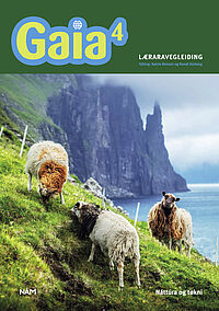 Gaia 4 Laeraraveglei ing forsi a Gaia 4 - Lærarabók
