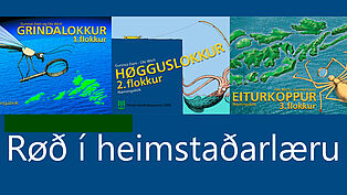 Roed i heimstadarlaeru utgavuheimur