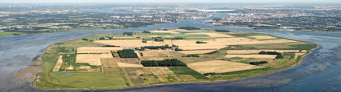 Oyggin Egholm beint við Aalborg í Norðurjútlandi í Danmark (mynd: Egholm Vestergaard)