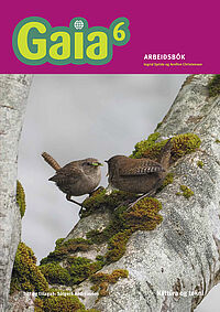 Gaia6 Arbeidshefti Forsida Gaia 6 - Arbeiðsbók