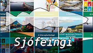 Sjofeingi utgavuheimur