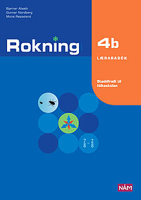 Rokning 4b - Lærarabók